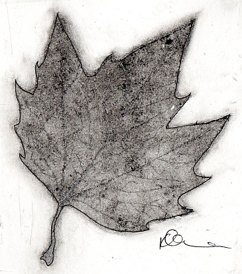 Leaf 2